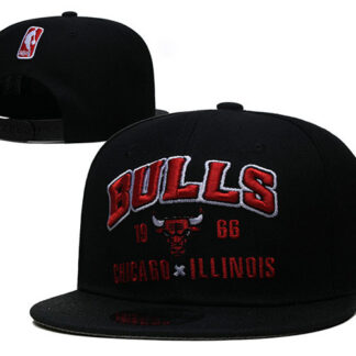 Chicago Bulls Stitched Snapback Hats 057