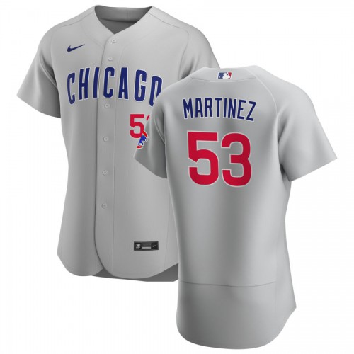 Chicago Cubs #53 Jose Martinez Men’s Nike Gray Road 2020 Authentic Team Jersey